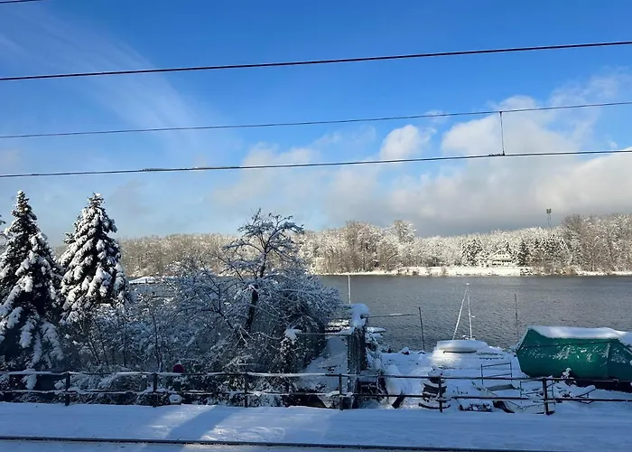 Brauner Baer Mit Donaublick *