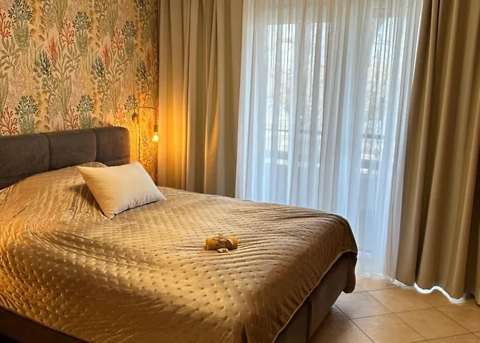 Brauner Baer Mit Donaublick